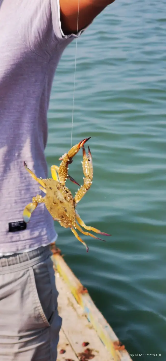 Sea Angling in Dongshan