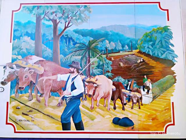 Katikati Murals
