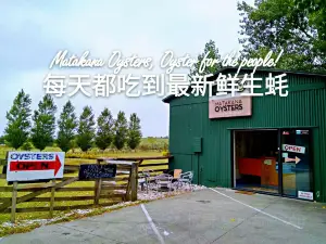 Matakana Oysters