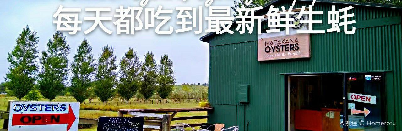 Matakana Oysters