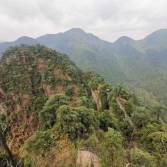 莽山天台山美食 User Photo