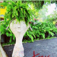 L'Amour cafe User Photo
