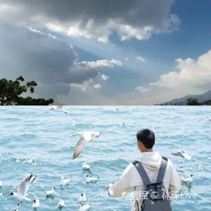 【大理市好去處】2026大理市商場盤點！吃喝玩樂一應俱全