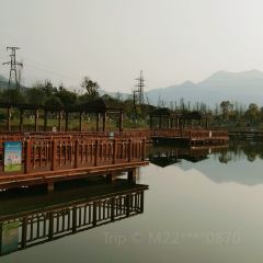 白露塘粮站杀猪粉 User Photo