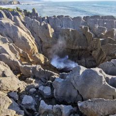 Punakaiki Tavern張用戶圖片