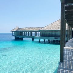 5.8 Undersea Restaurant張用戶圖片