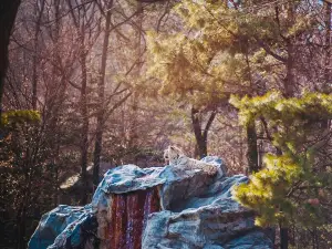 愛寶樂園