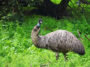 陶爾希爾野生動物自然保護區