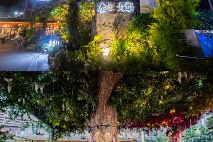 Qin Ma Hotpot (NanPing)