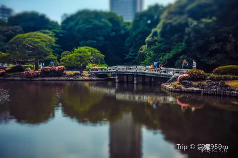 Shinjuku Gyoen National Garden