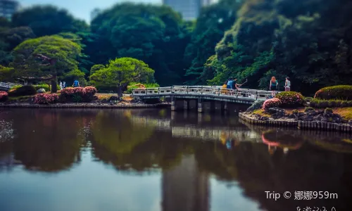 Shinjuku Gyoen National Garden