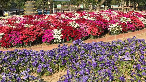Tokiwa Park