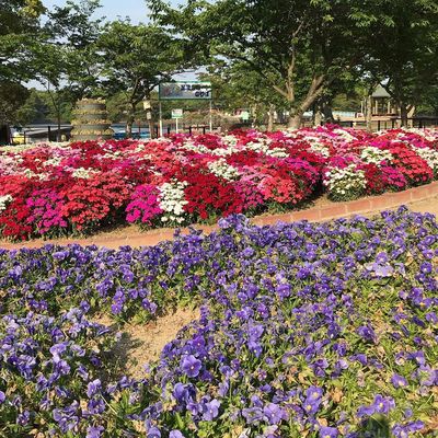 Tokiwa Park