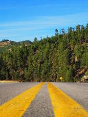 Custer State Park