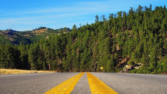 Custer State Park