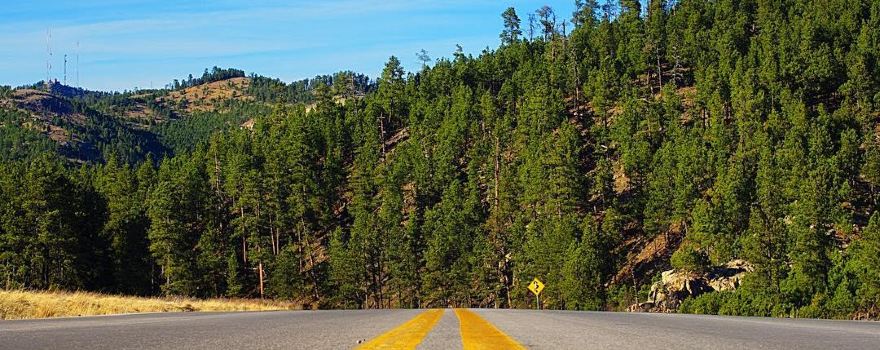 Custer State Park
