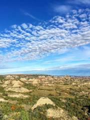 Theodore Roosevelt National Park