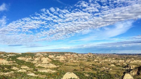 Theodore-Roosevelt-Nationalpark