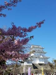Parque del castillo de Odawara