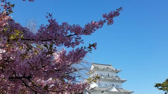 Odawara Castle Park