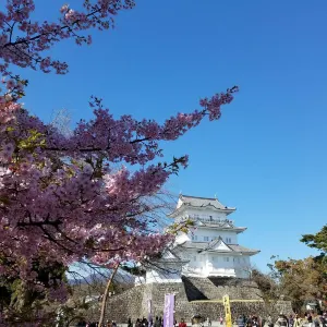 小田原城址公園