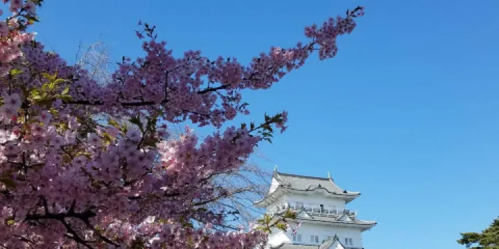小田原城址公園