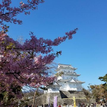 Odawara Castle Park