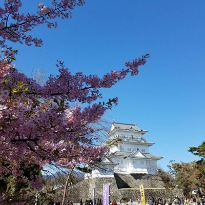 Odawara Castle Park