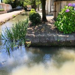 柳川城址旅遊攻略指南 柳川城址評論 柳川城址附近推薦 Trip Com 柳川城址旅遊攻略指南 柳川城址評論 柳川城址附近推薦 Trip Com