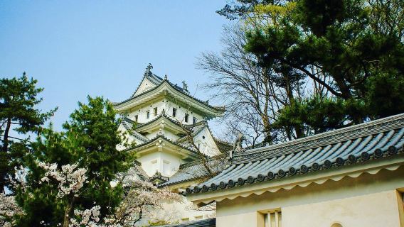 Ogaki Castle