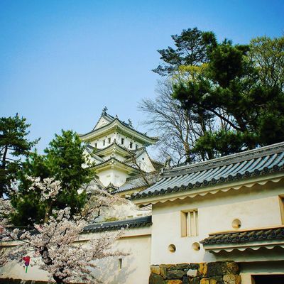 Ogaki Castle