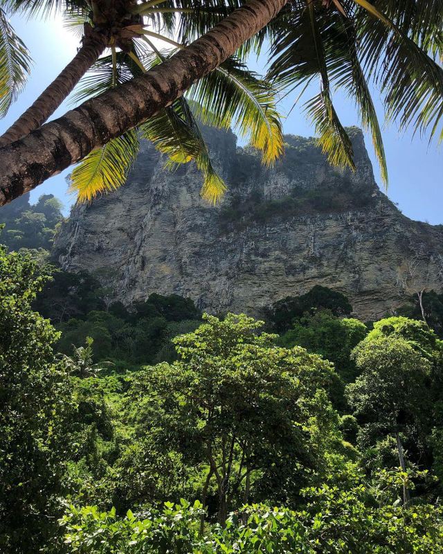 Monkey Trail