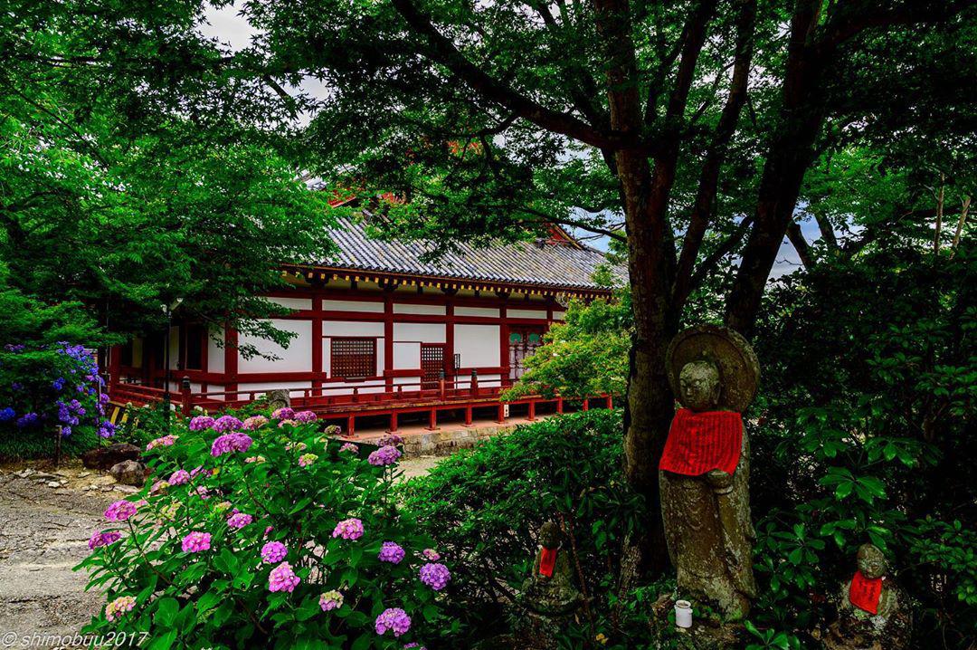 八大寺 金城山寺 旅遊攻略指南 八大寺 金城山寺 評價 八大寺 金城山寺 附近推薦 Trip Com 八大寺 金城山寺 旅遊攻略指南 八大寺 金城山寺 評價 八大寺 金城山寺 附近推薦 Trip Com