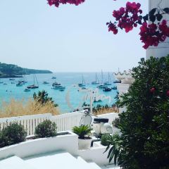 Cotton Beach Club Ibiza User Photo
