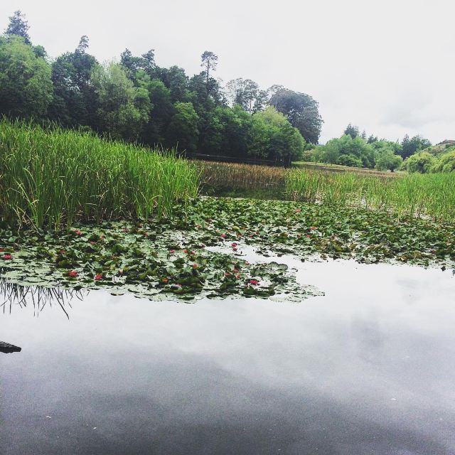 Lake Te Koutu