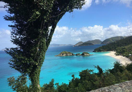 Trunk Bay