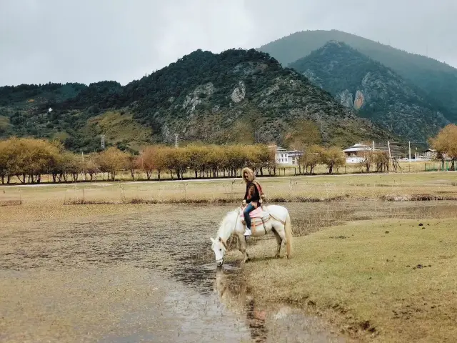 Shangri-La Horse Riding