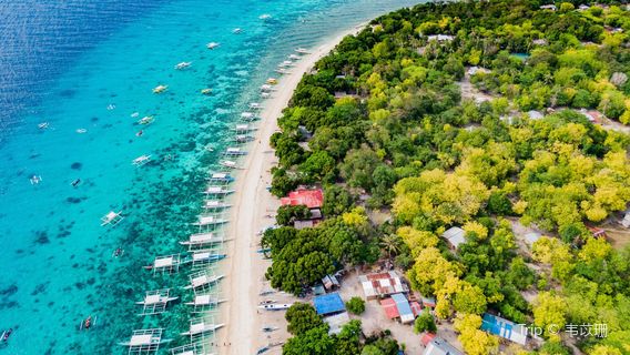 Bohol