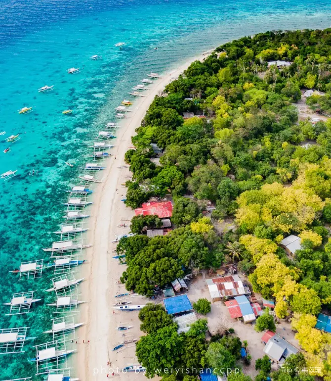 Bohol Island