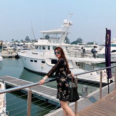 Black Angus Bar & Grill 여행 사진