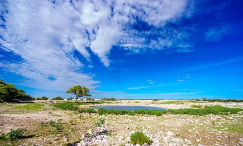 Okaukuejo Wasserloch