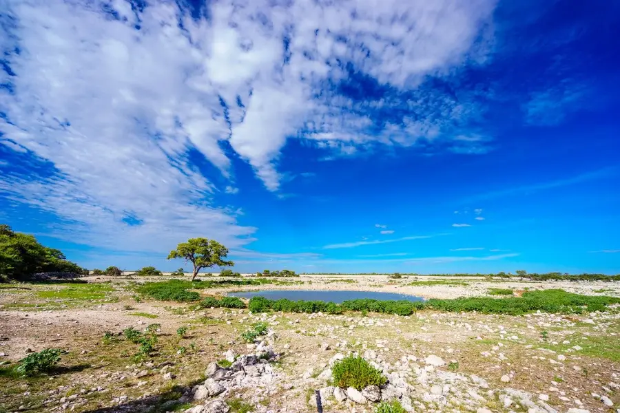 Okaukuejo waterhole