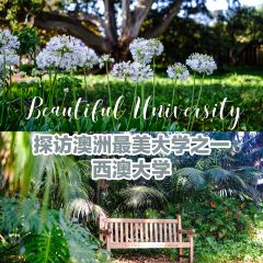 The University Club of Western Australia 여행 사진