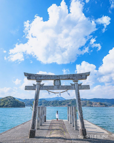 Ig網紅新打卡地面臨大海的隱世鳥居 土佐の宮島鳴無神社鳴 Trip Com 高知市trip Moments 貼文