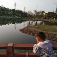 白露塘粮站杀猪粉 User Photo