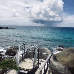 Rockpool Seafood Bar & Grill User Photo