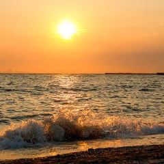The Surf Ocean Terrace Restaurant 여행 사진