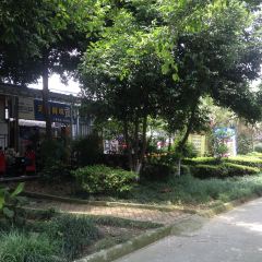 Tashuihefeichang Chicken User Photo