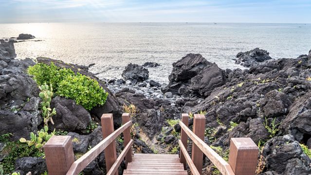 Population of Cacti in Wollyeong-ri