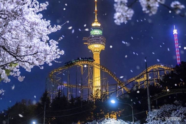 View of N Seoul Tower